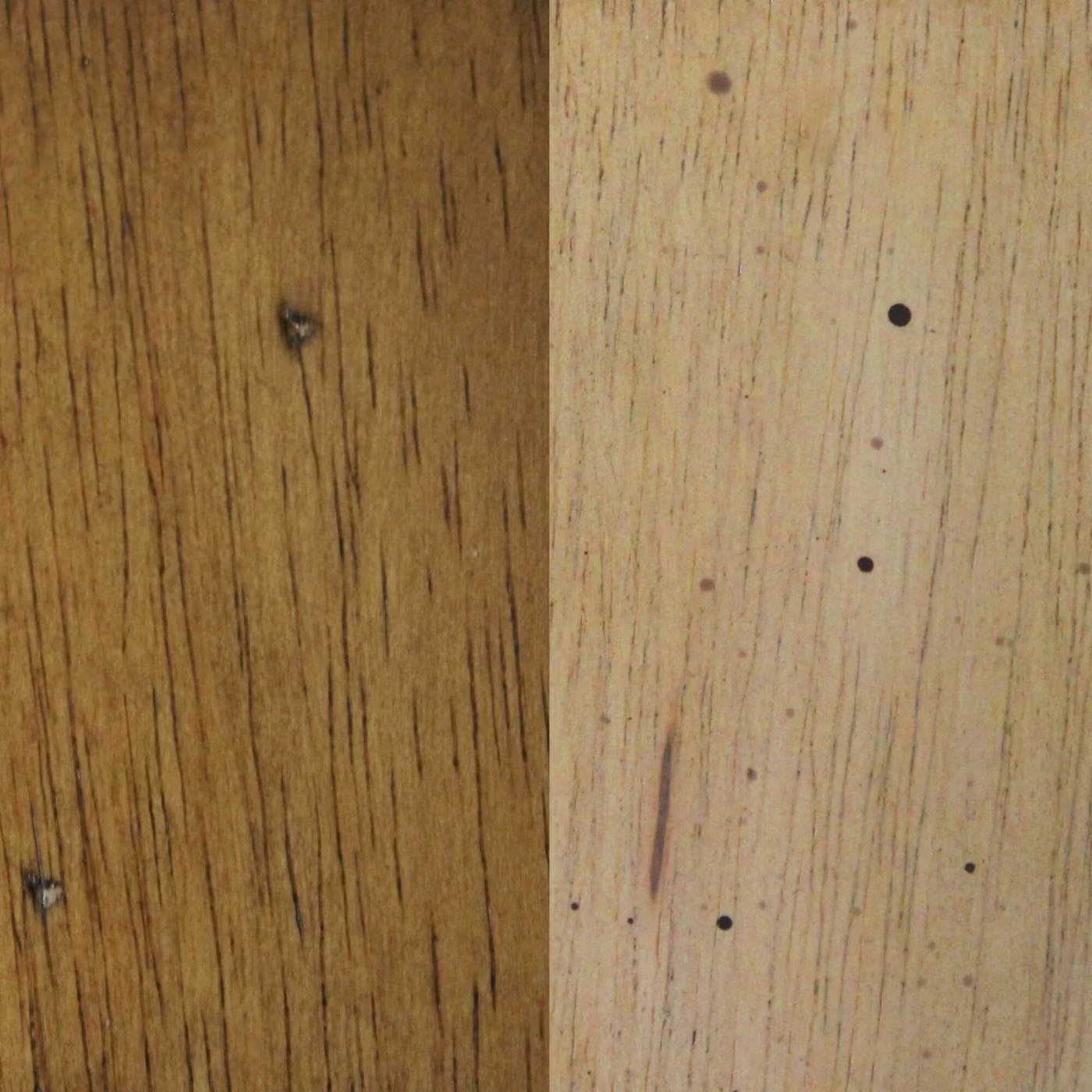 Buy π Wine Bottle Storage Sunset Trading Brookdale Dining Server β - Image 5